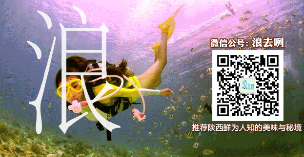 人大代表成秀勤:望尽快建成陕西食品工业成长区