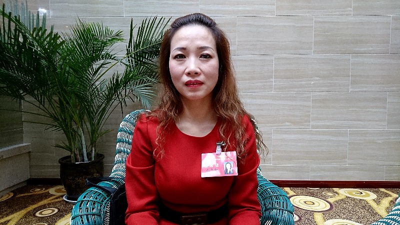 人大代表成秀勤:望尽快建成陕西食品工业成长区