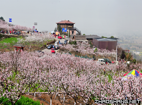 龙泉山城市森林公园