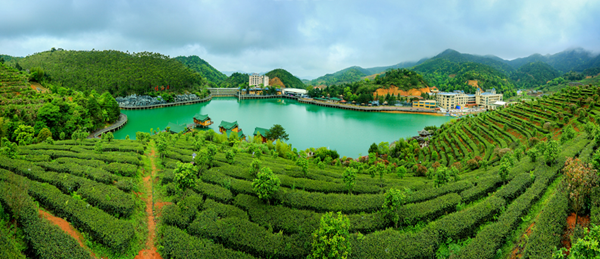 泉州市惠安大港湾台湾农民创业园