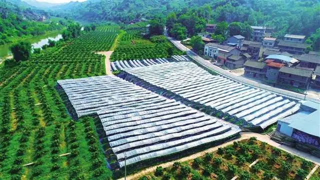 重庆长寿现代农业园