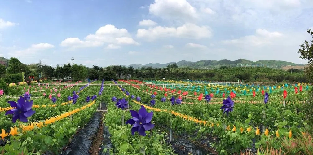 綦江农博园