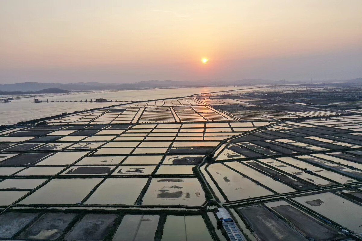牛田洋生态示范区