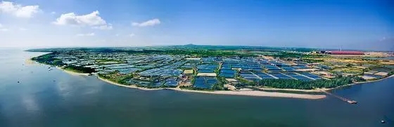 湛江临港工业园