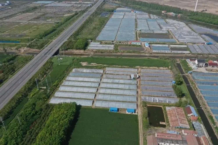 南通外向型农业综合开发区