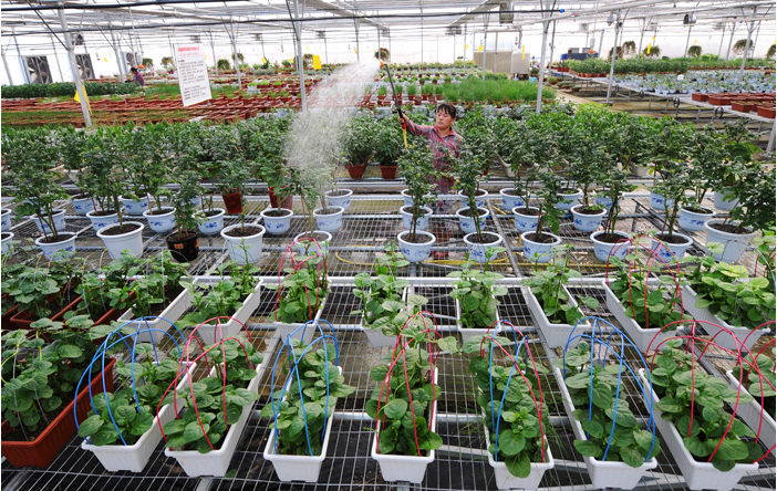 淮安现代农业高新科技园