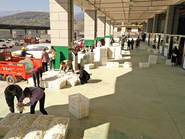 四川宁南茧丝绸工业集中发展区