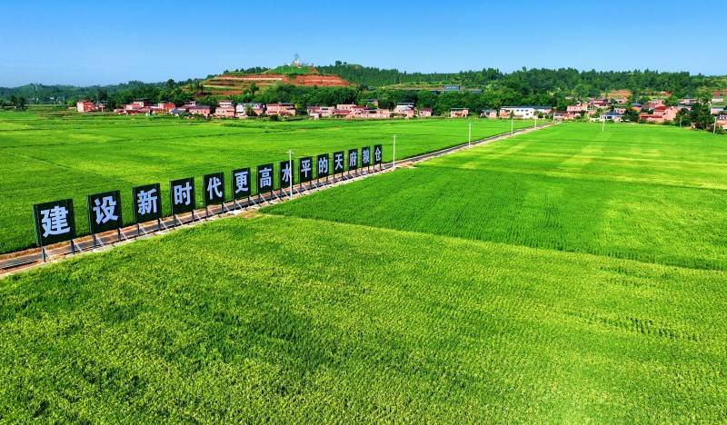 四川仁寿粮食园区