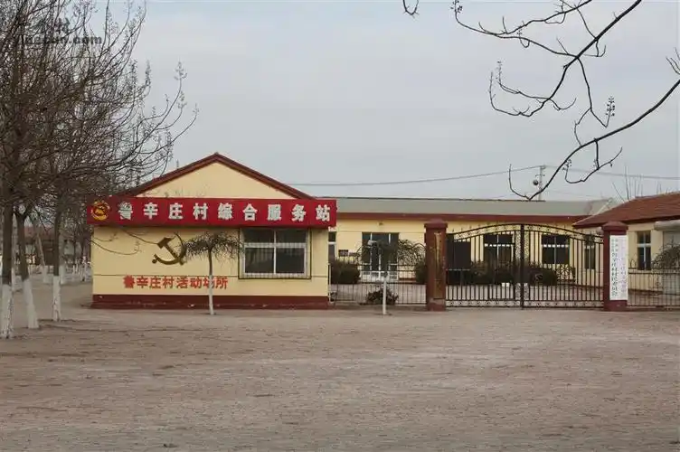 唐官屯镇鲁辛庄村标准示范园