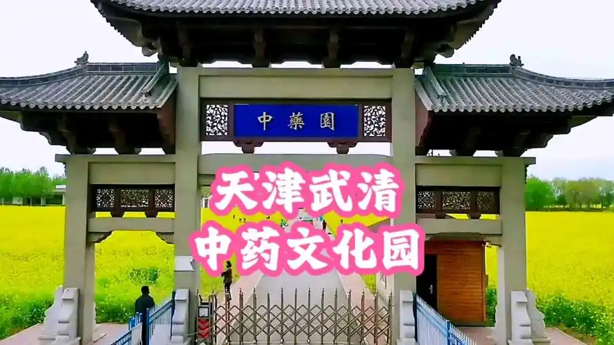 中药文化园