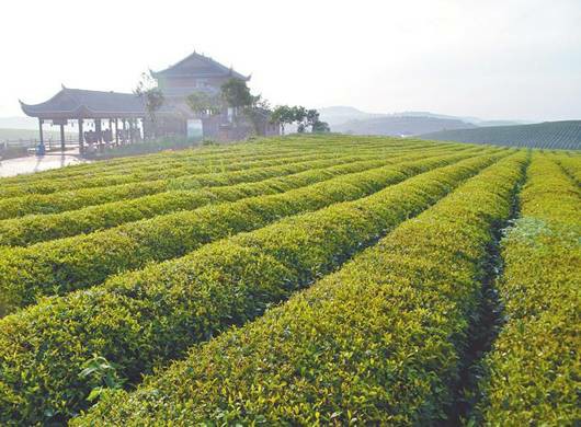 贵州松桃经济开发区