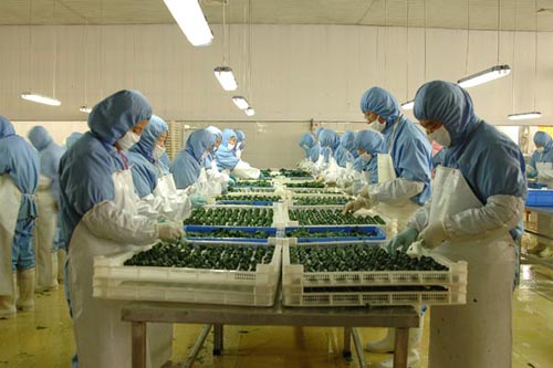 滨州隆达食品有限责任公司