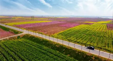新乡市平原示范区